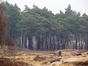 Man walking in forest
