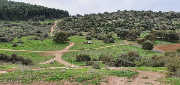 Scenic view of trees on field against sky