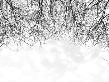 Low angle view of bare tree against sky