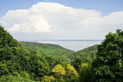 nature
