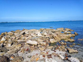 Scenic view of sea against clear blue sky