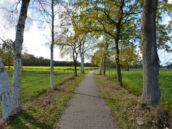 Footpath amidst trees on landscape against sky