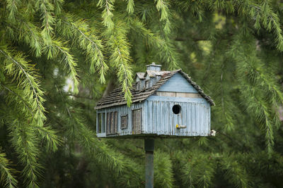 Birdhouse against trees