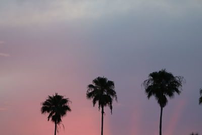 Low angle view of silhouette palm trees against romantic sky