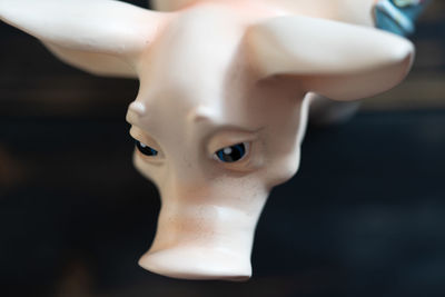 Close-up portrait of woman