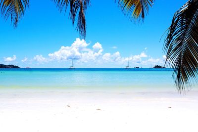 Scenic view of beach against blue sky