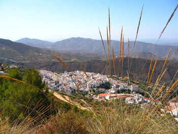 High angle shot of townscape