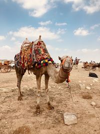 Group of people walking on desert