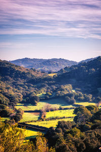 Outdoor hometown landscape 