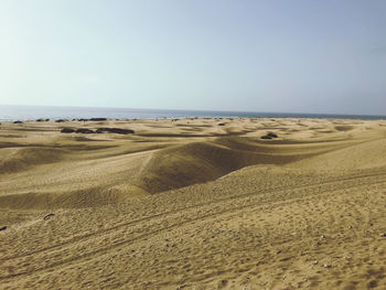 Scenic view of beach against clear sky