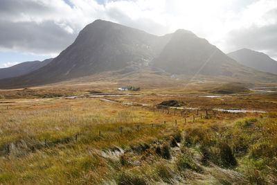 Scenic view of landscape