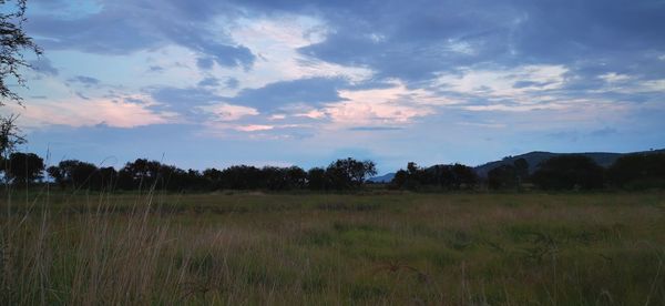 Scenic view of field against sky during sunset