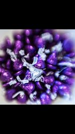 Close-up of fresh purple flowers