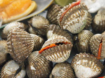 Close-up of fish in plate