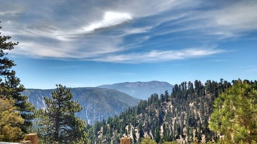 Trees by mountains against sky