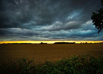 Scenic view of field against sky during sunset