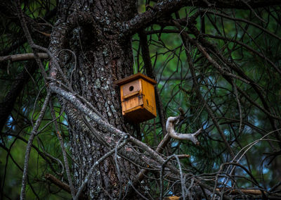 Low angle view of birdhouse on tree