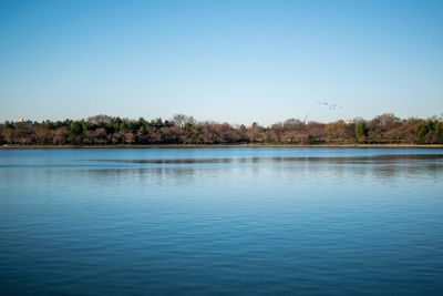 Scenic view of lake against clear blue sky