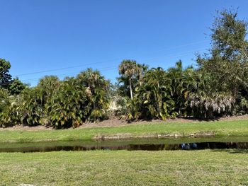 Scenic view of lake against clear blue sky