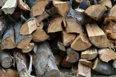 Full frame shot of logs in forest