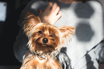 Close-up of woman with dog