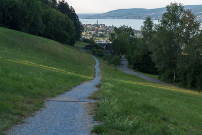 Road amidst trees in city