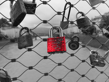 Close-up of padlocks on chainlink fence