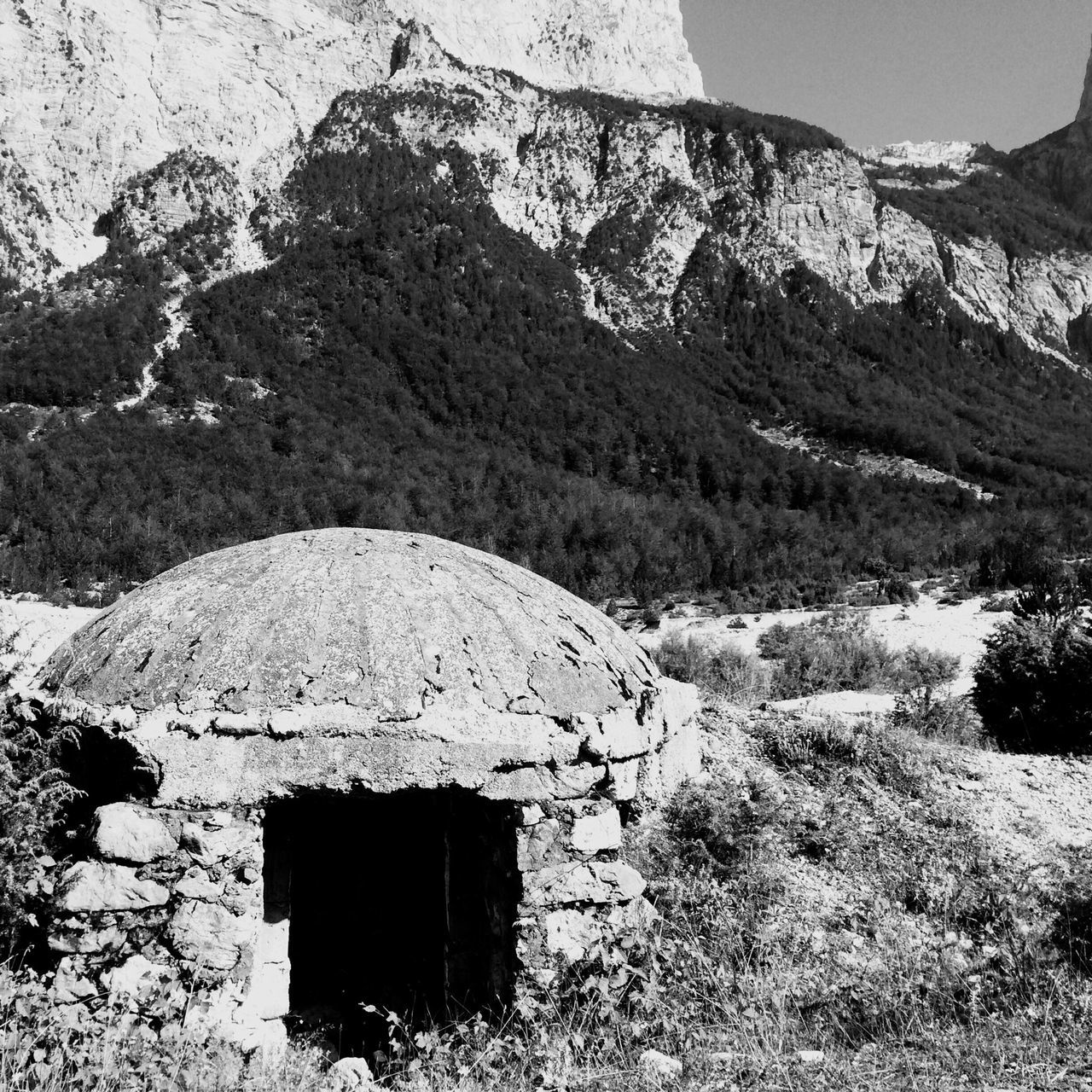 built structure, architecture, building exterior, house, abandoned, damaged, field, old, plant, tree, deterioration, run-down, obsolete, nature, day, growth, landscape, grass, outdoors, weathered