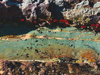 Full frame shot of rock in sea