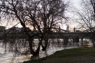 Trees by lake against sky during sunset
