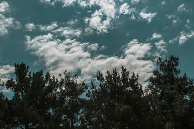 Low angle view of trees against cloudy sky