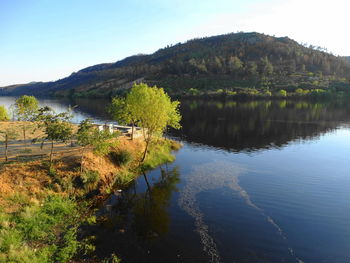 Scenic view of lake in forest against sky