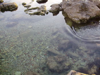 Close-up high angle view of water