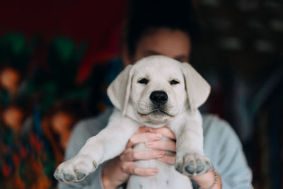 Woman holding puppy