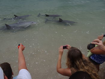 People photographing fishes in sea