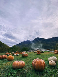 Hay bales on field against sky