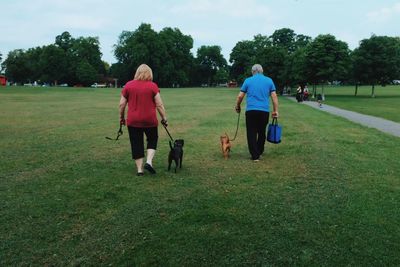 Rear view of people with dog walking on field