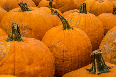 Full frame shot of pumpkins for sale