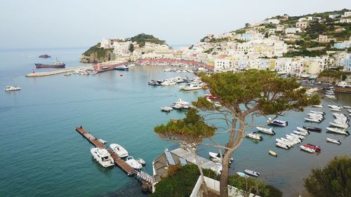 High angle view of sailboats moored in harbor