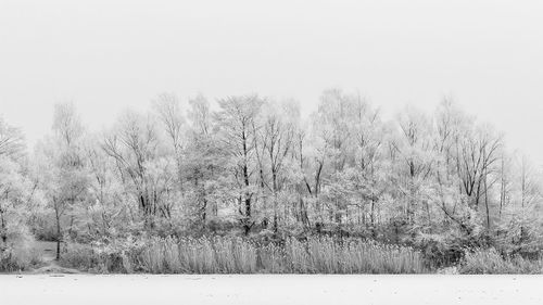 View of snow covered landscape against clear sky