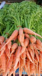 High angle view of vegetables for sale in market