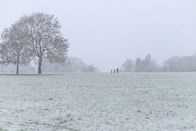 Trees and people on field against sky during winter