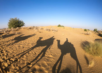 Shadow of people on sand dune against clear sky