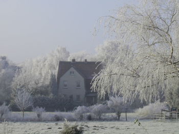 Houses and trees against clear sky during winter