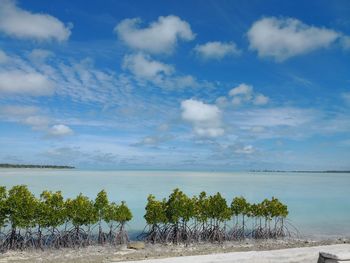 Scenic view of sea against sky