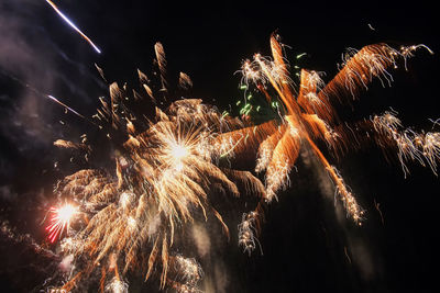 Low angle view of firework display at night