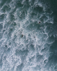 High angle view of swimming in sea