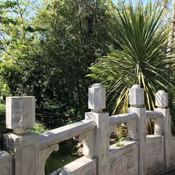 View of cross in cemetery