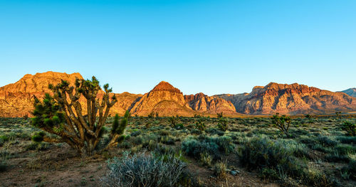 Scenic view of mountain against clear blue sky