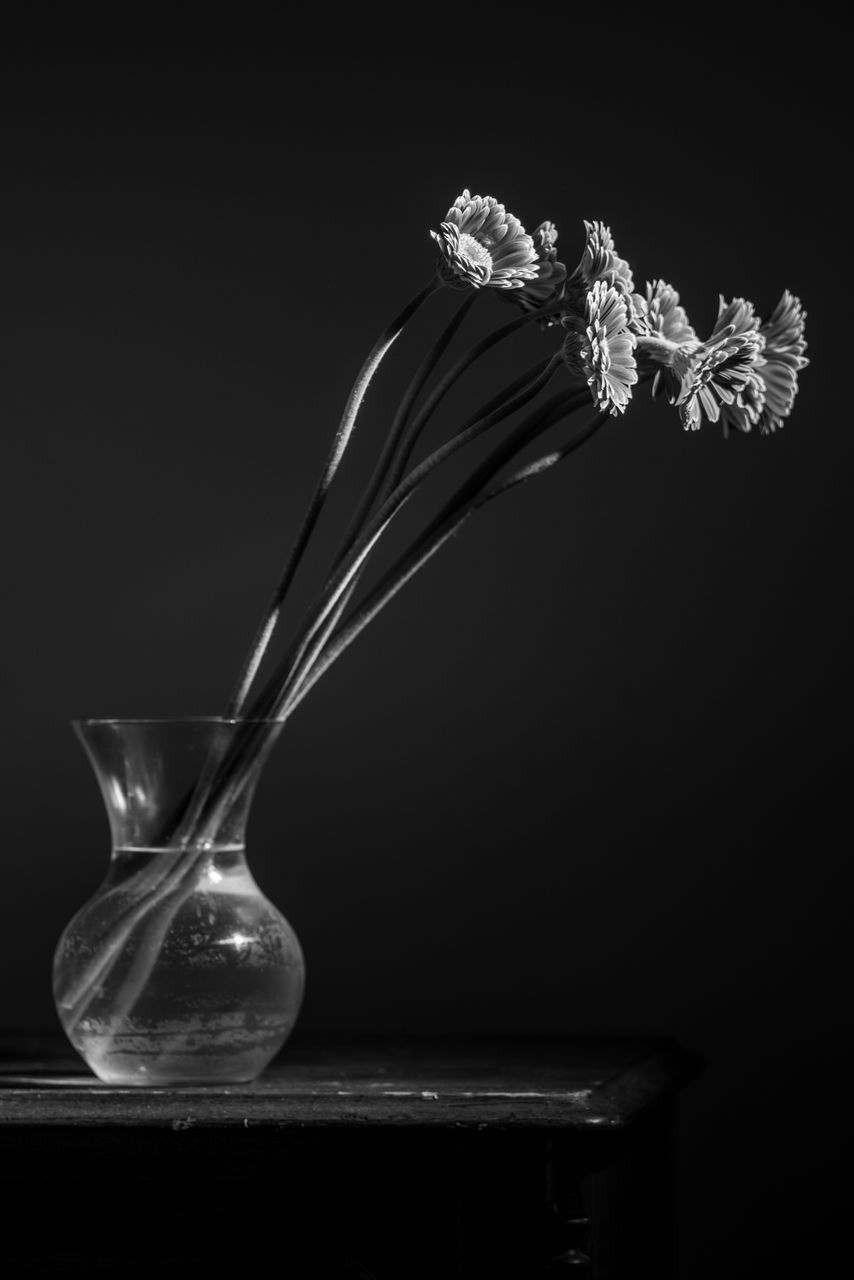 CLOSE-UP OF FLOWER VASE ON TABLE